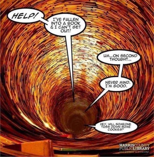 LFMS_Library's tweet image. 