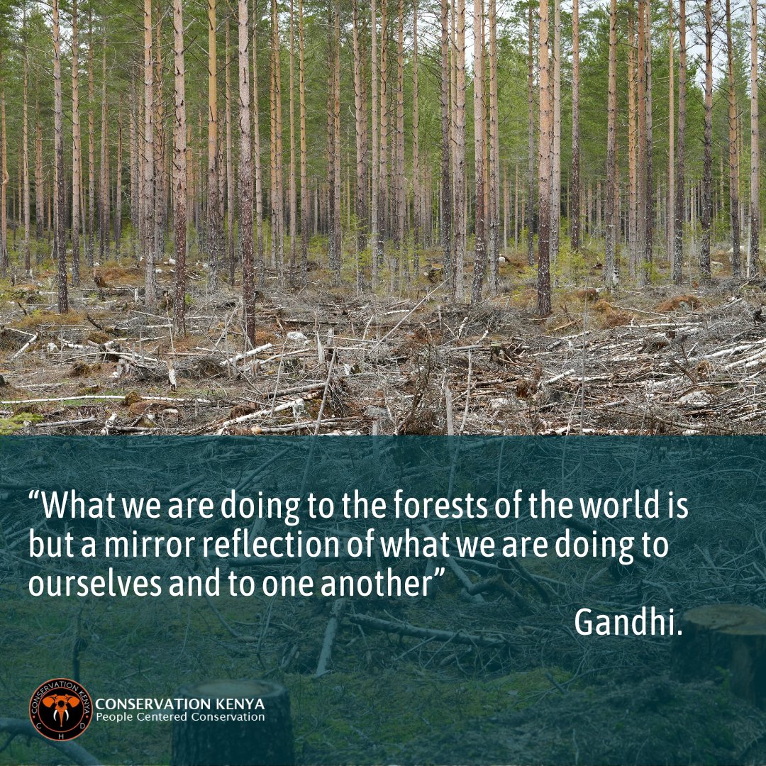 CHD Conservation Kenya. (@chdkenya) on Twitter photo 