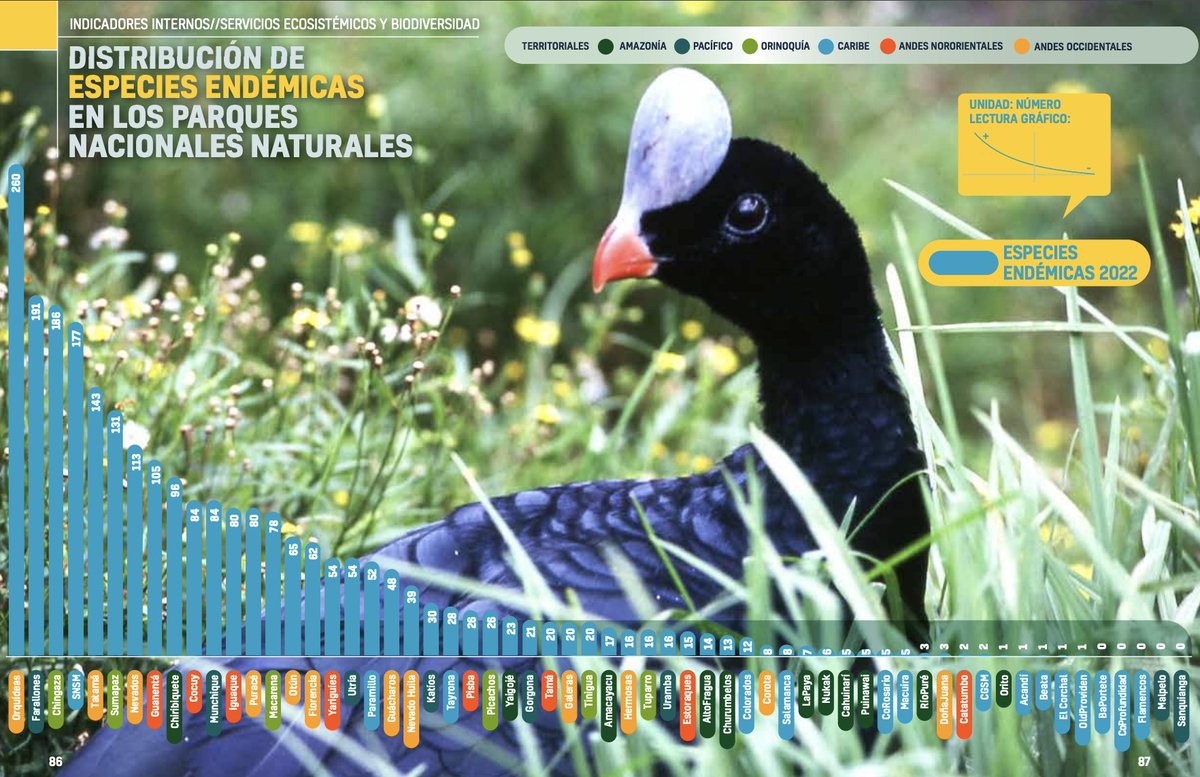 FNAmbiental's tweet image. #MensajesClave
#Informe2023 @ParquesComoVan #COP26
🔗parquescomovamos.com/informe-2023

🔸Parques Nacionales Naturales
-Albergan el 28% de especies de flora y fauna endémicas de🇨🇴
-Refugio de 397 especies amenazadas, 251 especies de aves amenazadas, endémicas y de distribución restringida
