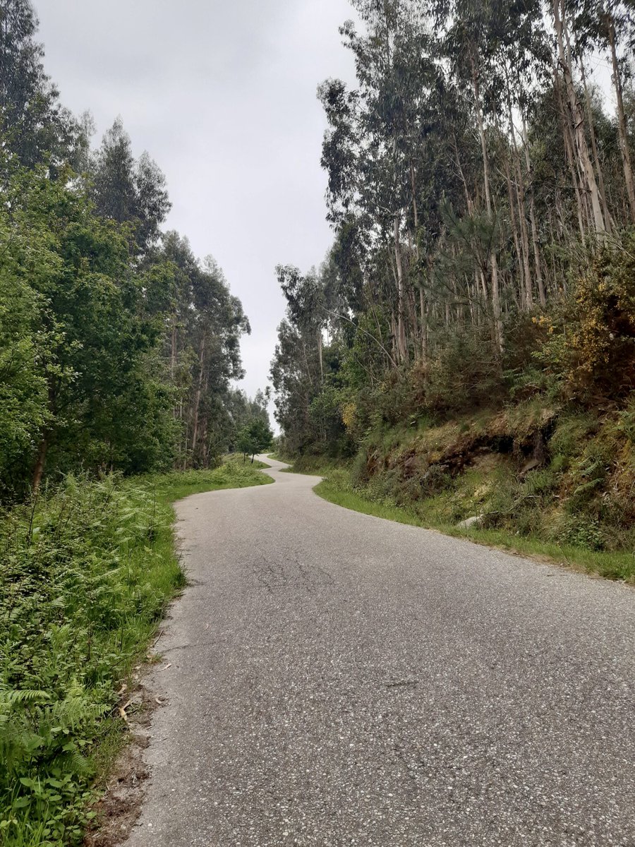 The first day of the Spiritual Variant of the #CaminoPortugués is a beautiful walk but be prepared for some long uphill stretches like this one! If you want to know more about the Spiritual Variant and what you can expect you can read all about it here. alisononfoot.com/walking-the-sp…