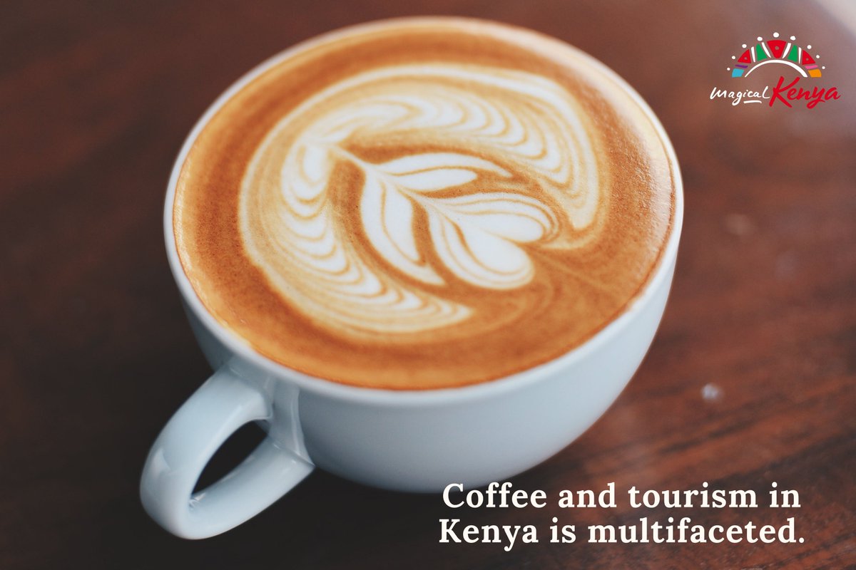 magicalkenya's tweet photo. Discovering Kenya's colourful coffee culture!
Every sip, from the fields to the cup, conveys a story of heritage and quality. Nestled from the Kenyan highlands, contributing to our Nation's caffeine legacy.
#365DaysOfMagic #MagicalKenya https://t.co/ztfZtuQ9iF