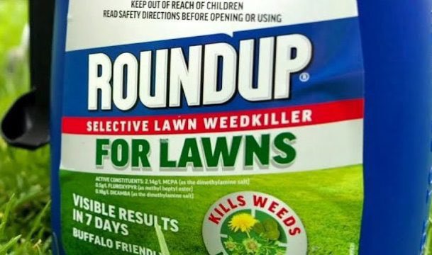 DOCUMENTS: @GovCanHealth finds trace #glyphosate in food, tap water & Canadians' blood & urine samples albeit at safe levels: 'The gov't takes pesticide safety very seriously.'  blacklocks.ca/found-in-food-… #cdnpoli