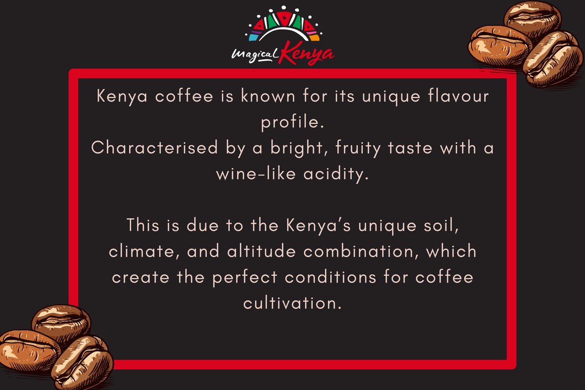 magicalkenya's tweet photo. Discovering Kenya's colourful coffee culture!
Every sip, from the fields to the cup, conveys a story of heritage and quality. Nestled from the Kenyan highlands, contributing to our Nation's caffeine legacy.
#365DaysOfMagic #MagicalKenya https://t.co/ztfZtuQ9iF