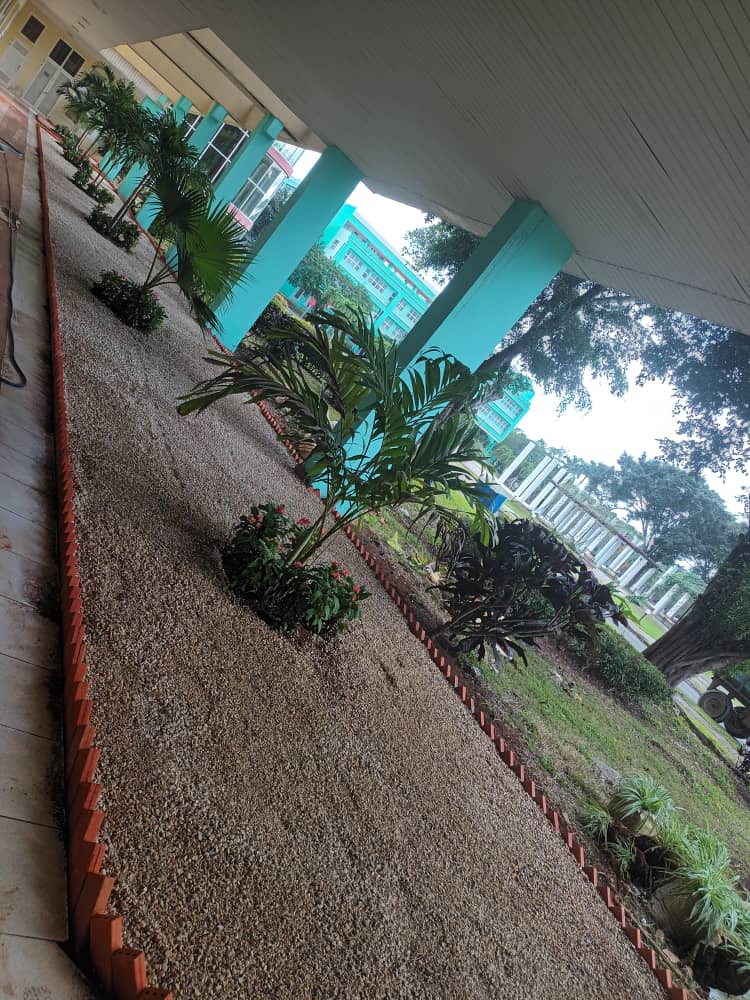 Nuevos aires en el Docente 2...Esperando con mucha alegría nuestro curso 2024. Gracias <a href="/universidad_uci/">Universidad de las Ciencias Informáticas</a> siempre renovada y lista para continuar con el compromiso que nuestro #FidelPorSiempre nos asignara.<a href="/AnaMarys8/">Ana Marys</a> <a href="/yadianperez/">Yadian G. Pérez</a> <a href="/Carlos_de_Cuba/">Carlos Rodríguez</a> <a href="/Lieen19/">Lieen Dominguez Diaz</a> <a href="/nataliauci16/">Natalia 🇨🇺</a>