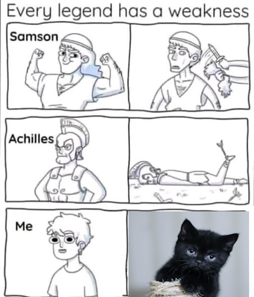 tclynx's tweet photo. So true!!!
Is it the same for you ?
#catframes #CatsOfTwitter #cats #cat #catenrichment #catquiz #catoftheday #cattoys #catsofinstagram #kittens #safecat #catenclosure #catmemes #catios #catification #ragdolls #moggie #advert https://t.co/NJP46OI7lB