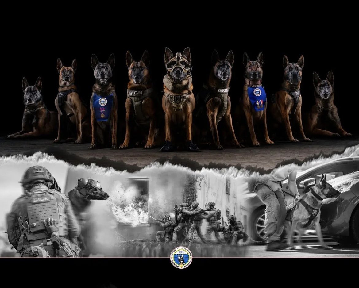 Unités spéciales francaises 🇫🇷 tweet media