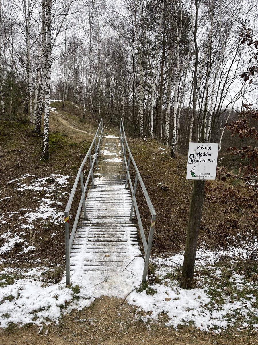 JoseHermens's tweet photo. Vanochtend op Cammino della Fortuna ๐ geweest met Laura Lazzarini, #aandachtverstrekker in het Geuldal. Verrassende en spannende route en mooie gesprekken in een besneeuwd landschap. #dedellen @Limb_Landschap @magnifiekZL https://t.co/xyaTZgUFMO