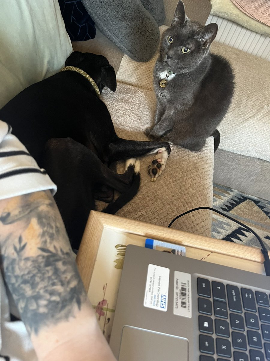 And so, the course that any previous completers have warned me away from has begun! With the least encouraging pups for company. @DPT_SecureCare <a href="/DPT_NHS/">Devon Partnership NHS Trust</a> #brainexplosion #prescribing #prayforme