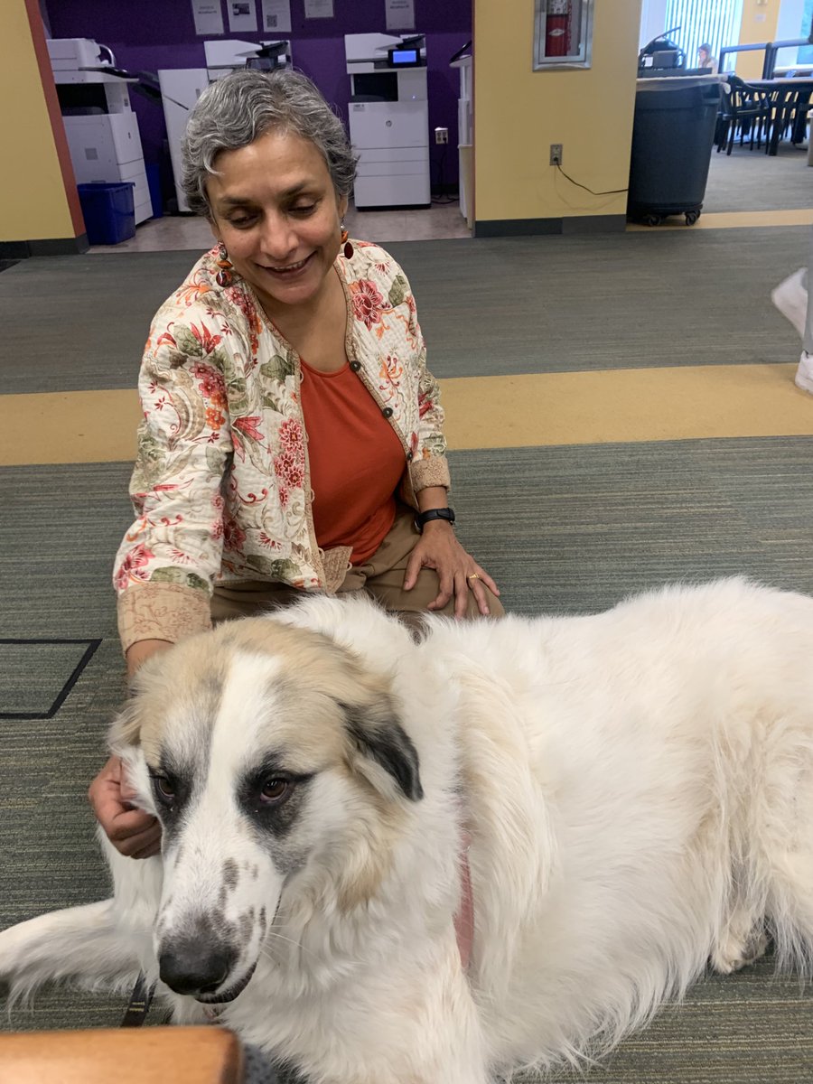 macphaidin_lib's tweet image. We&apos;re starting off the spring semester with Pet Therapy!  Stop by the library on WED. Jan. 24 at 11AM to visit with Lucy.

#PetTherapy #TherapyDogs #FreeFun #MacphaidinLibrary #StonehillLibrary
