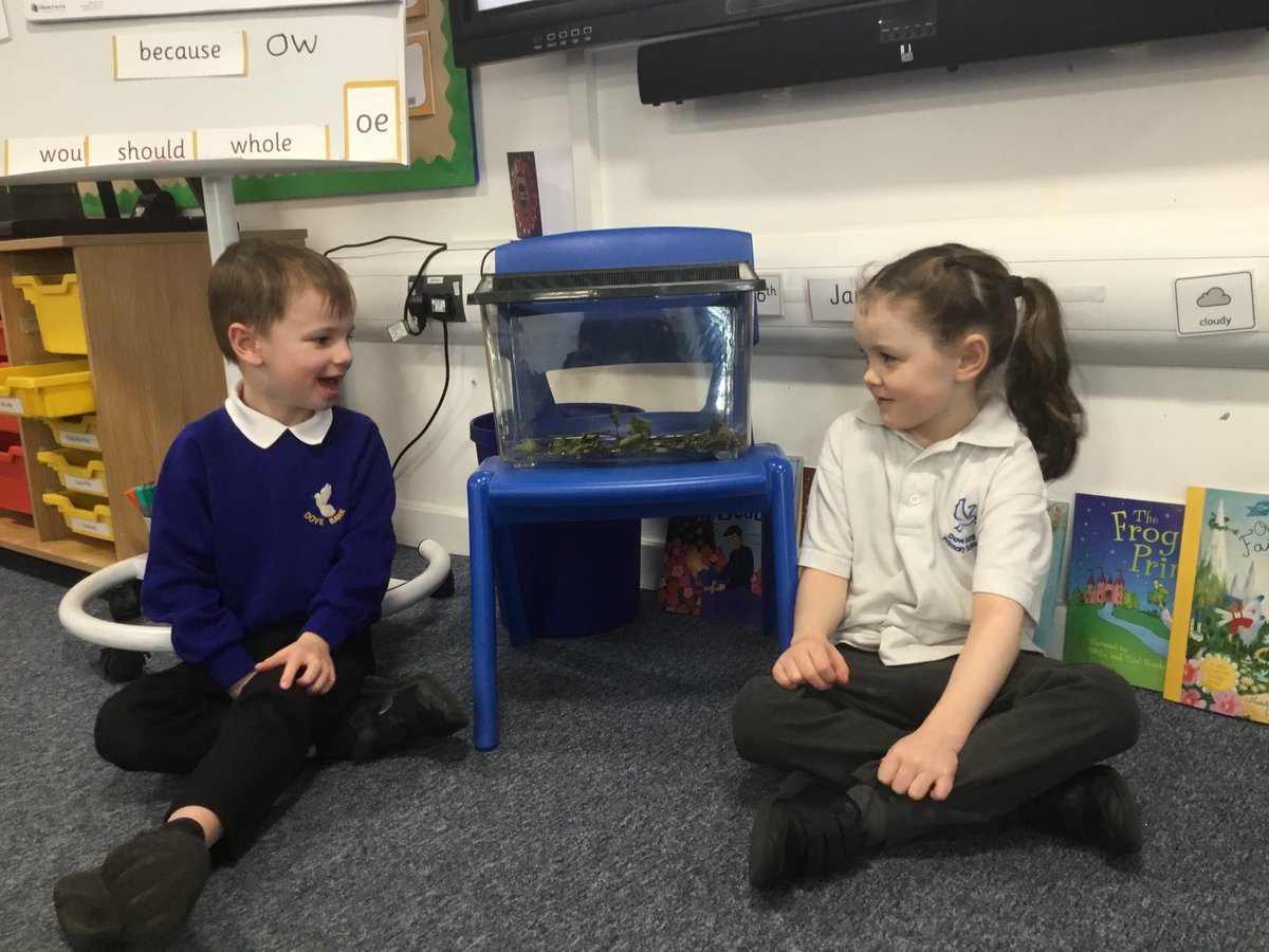 Elm class are really excited to welcome their new class pets - they have stick insects.