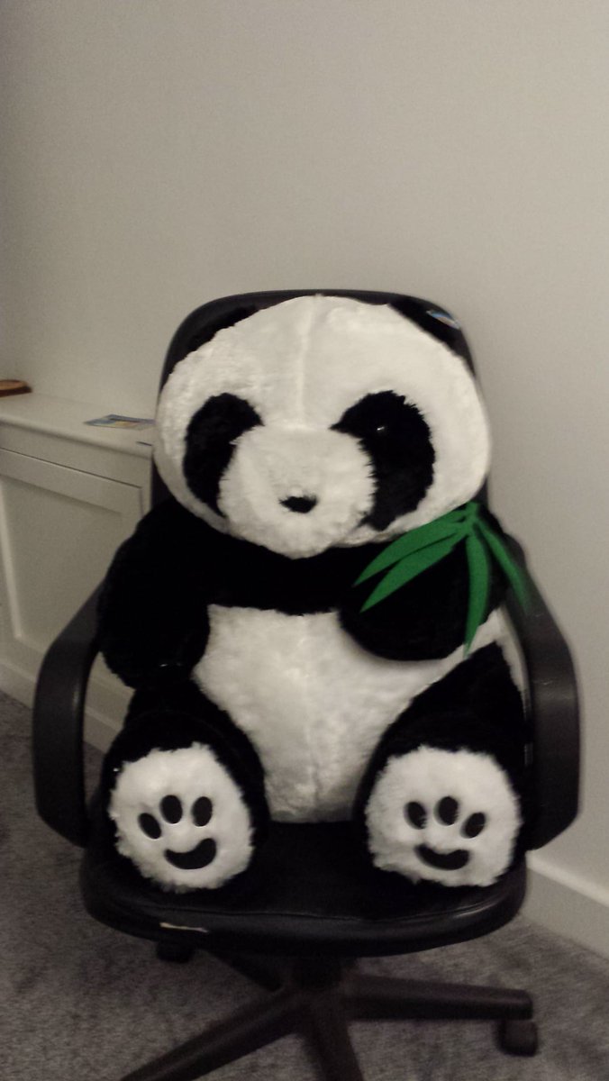 New Flatmate moved in yesterday! £10 in the Charity Shop! I will soon have more #Pandas than Chairs! Guests will have to sit on the Floor & like it! 😂🐼❤️❤️❤️❤️I'm still missing #YangGuang & #TianTian,but I've seen pics of them & they look happy & are doing well in new Home! 🥰