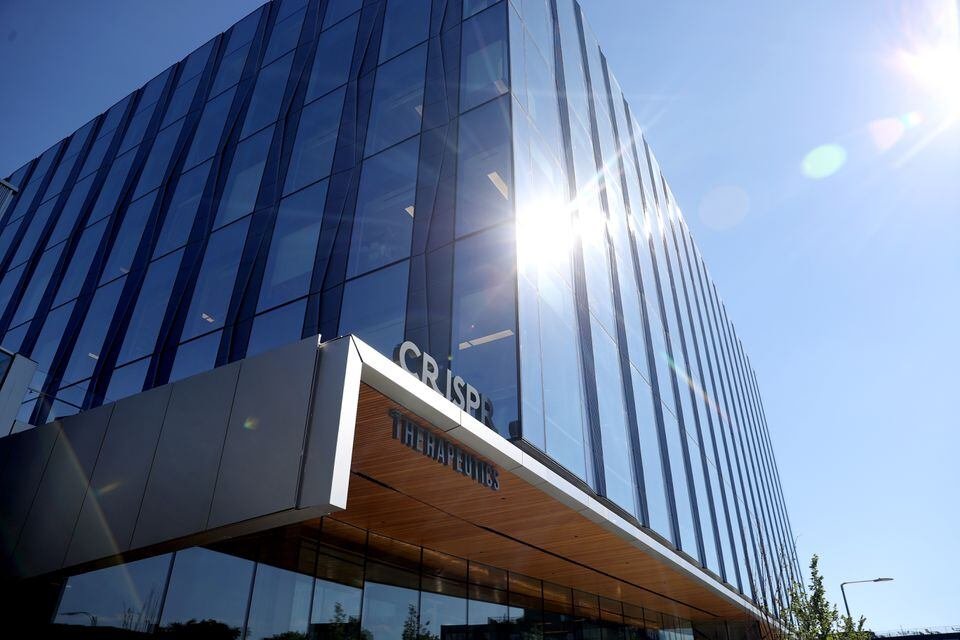 Brian Daniels tweet media