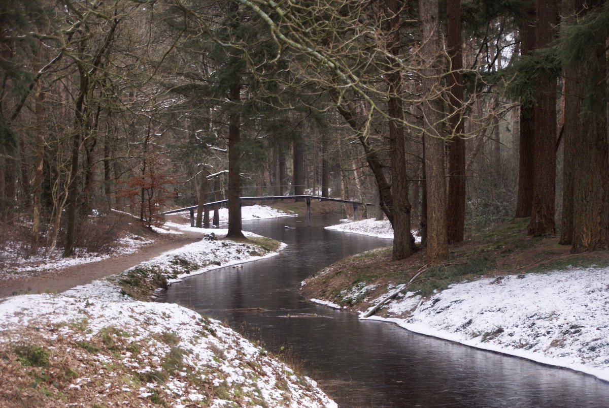 #fotoblog - Zeist: landgoed Heidestein - Bornia #utrechtslandschap #wandelen #natuur #winter