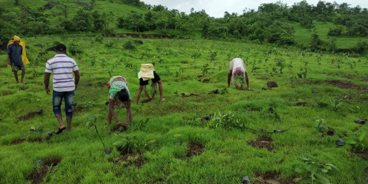 RPRealtyPlus's tweet image. RPG GROUP PLEDGES TO CONSERVE, RESTORE&amp;amp; GROW ONE MN TREES BY 2030
Read the full news @ rprealtyplus.com/realty-spotlig…
#RPGgroup #grow #trees #growtrees #procurement #construction #KECinternational #emission #greenhousegas