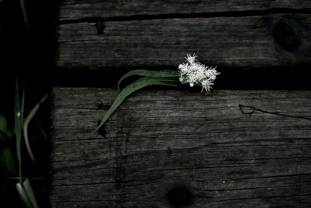 JohnathanPugh5's tweet image. Sailing through life on calm waters is a fantasy. Life&apos;s problems are like challenging waves, but they carry valuable lessons. Embrace them, learn from them, and grow stronger. You are resilient! 💪 #LifeProblems #GrowthMindset