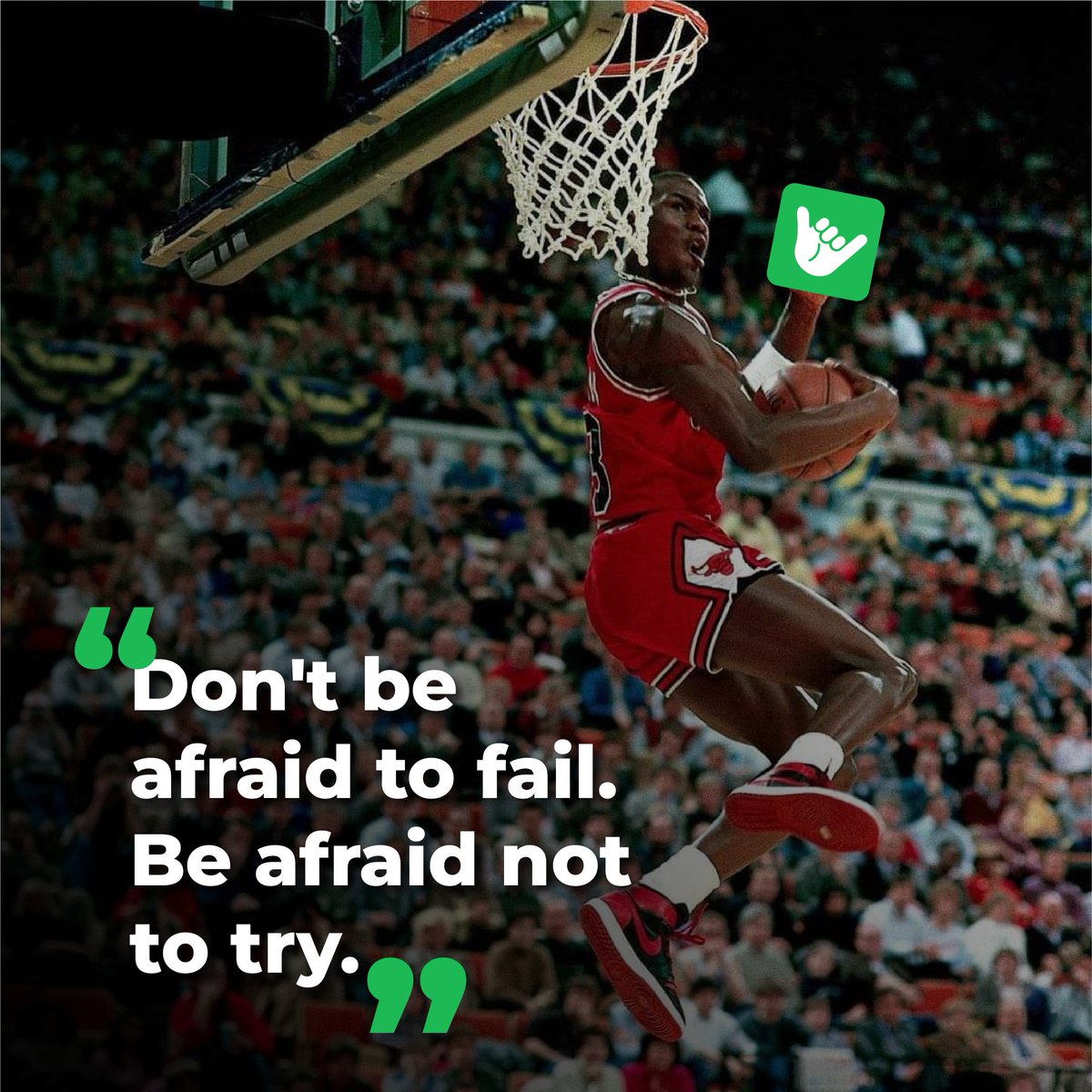 Chat FTW tweet media