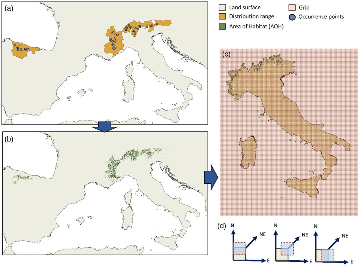 Our paper on the systematic application of KBA criteria on #bumblebees is out in @InsectDiversity!Great job Dario Nania in leading this innovative work! doi.org/10.1111/icad.1…