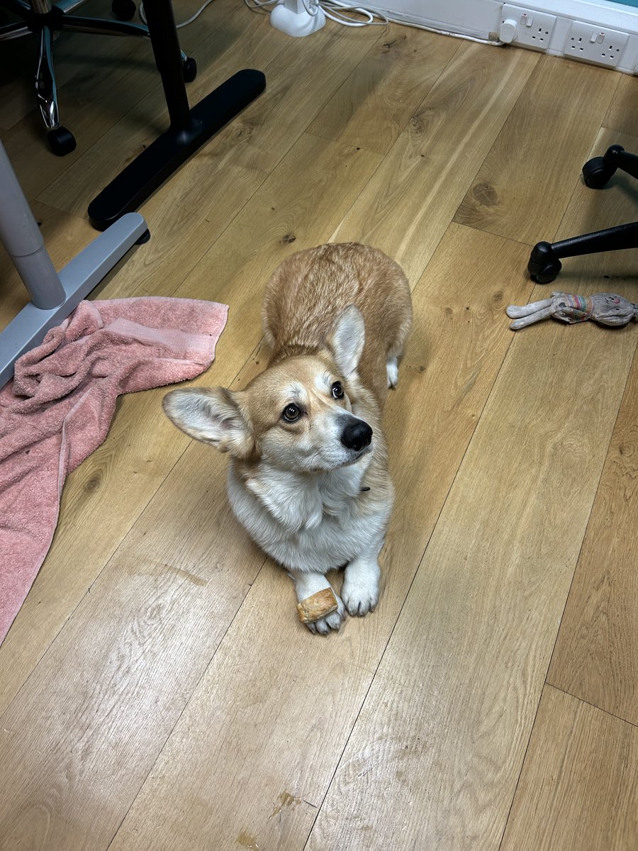 Digital Six® tweet media