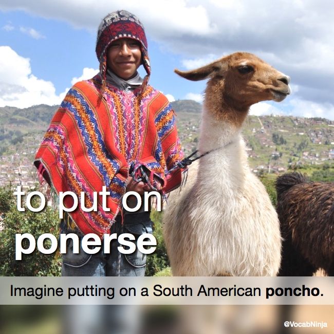 DailyESword's tweet photo. 🇬🇧 to put on
🇪🇸 ponerse

Imagine putting on a 🌎 South American «poncho».

💬 “Paul put on gloves before going out.”
💬 “Paul se puso los guantes antes de salir.”

#Spanish #WOTD #wordoftheday #puton #toputon #ponerse #poncho #vocabulary #vocab #español #hint #mnemonic https://t.co/OtrWceZnRz