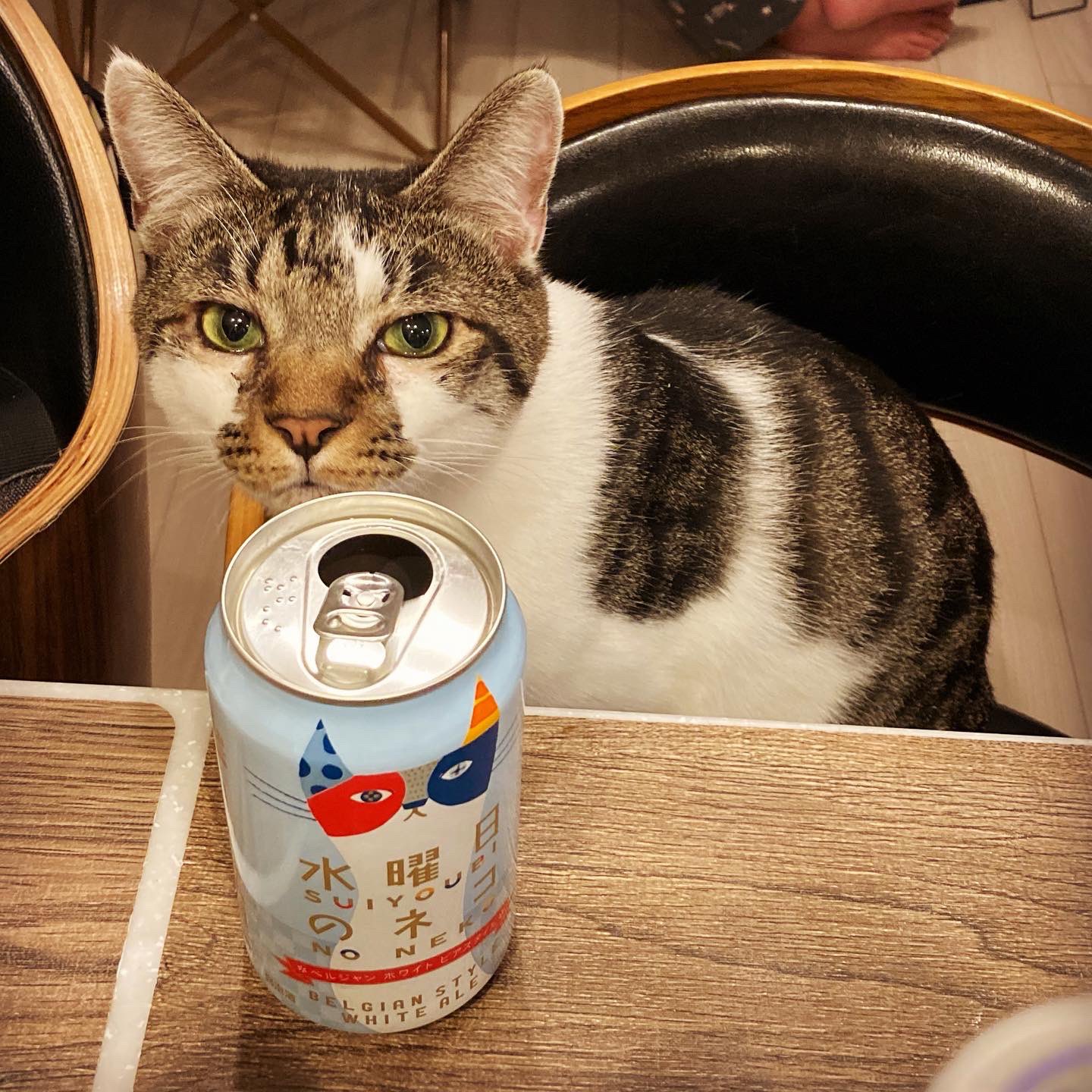 水曜日のネコ 2ケース 期限 2019.7 Amazon.co.jp: クラフトビール 水曜日のネコ 350ml x 2ケース/48