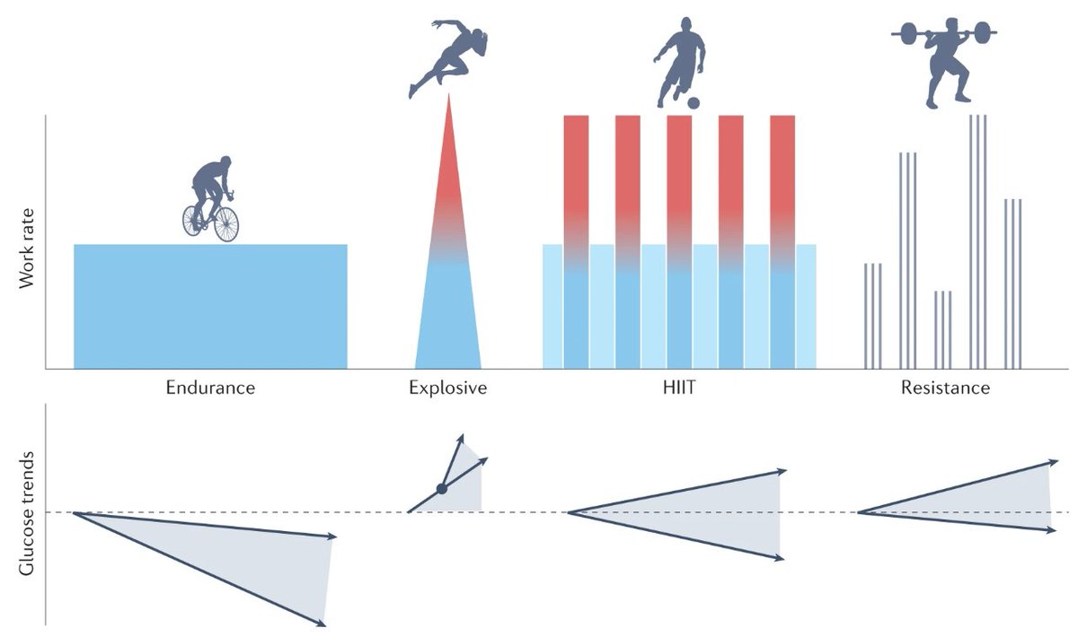 Michael Riddell and Anne Peters review #exercise in type 1 #diabetes (£) go.nature.com/3g3sF8l #T1D #T1DM