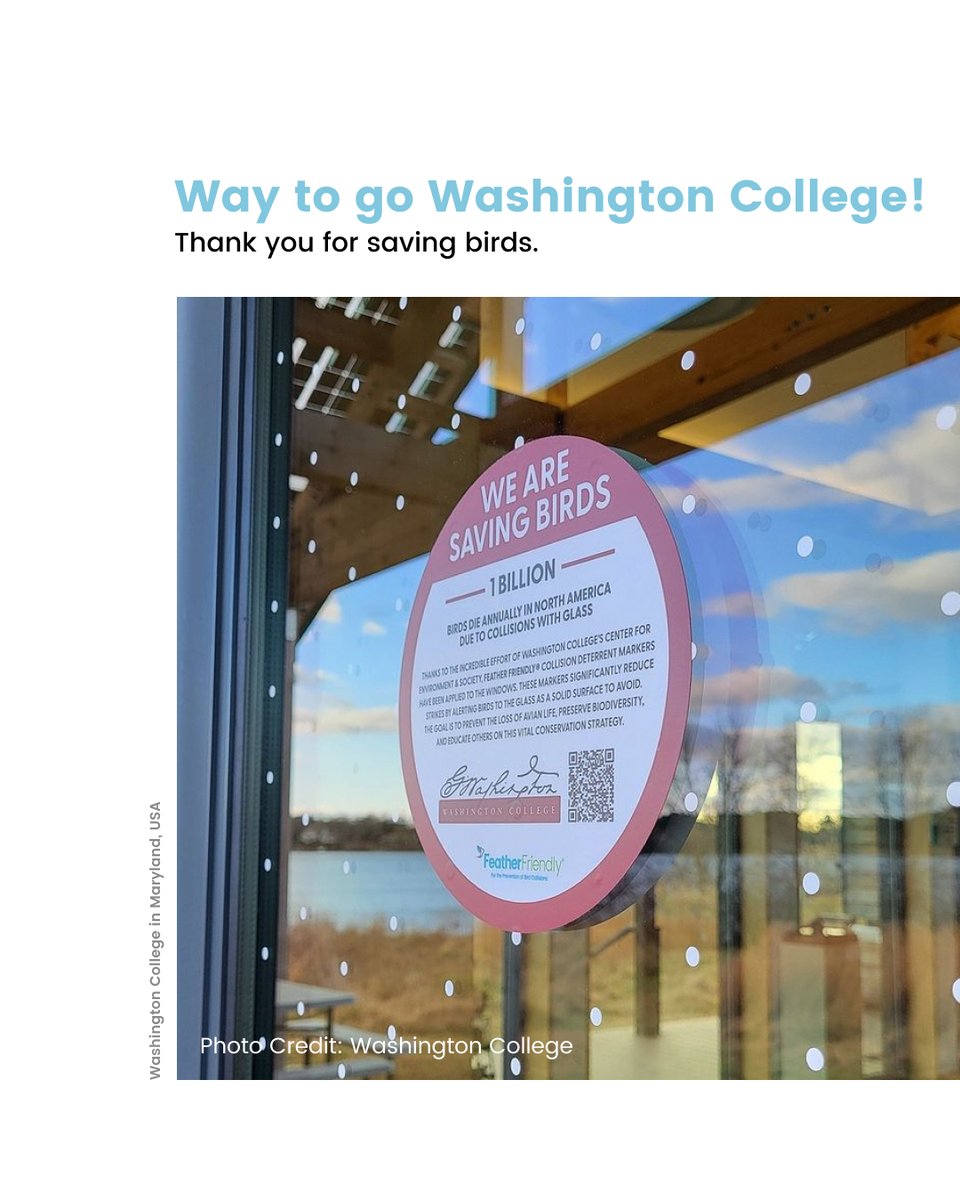 FeatherFriendly's tweet image. Washington College in Maryland, USA is doing its part to save the birds!

Do you know other colleges, businesses, or friends that are using Feather Friendly? Tag them below! 👇🏼

#glasscollisions #windowcollisions #birdcollisions #birdsafe
