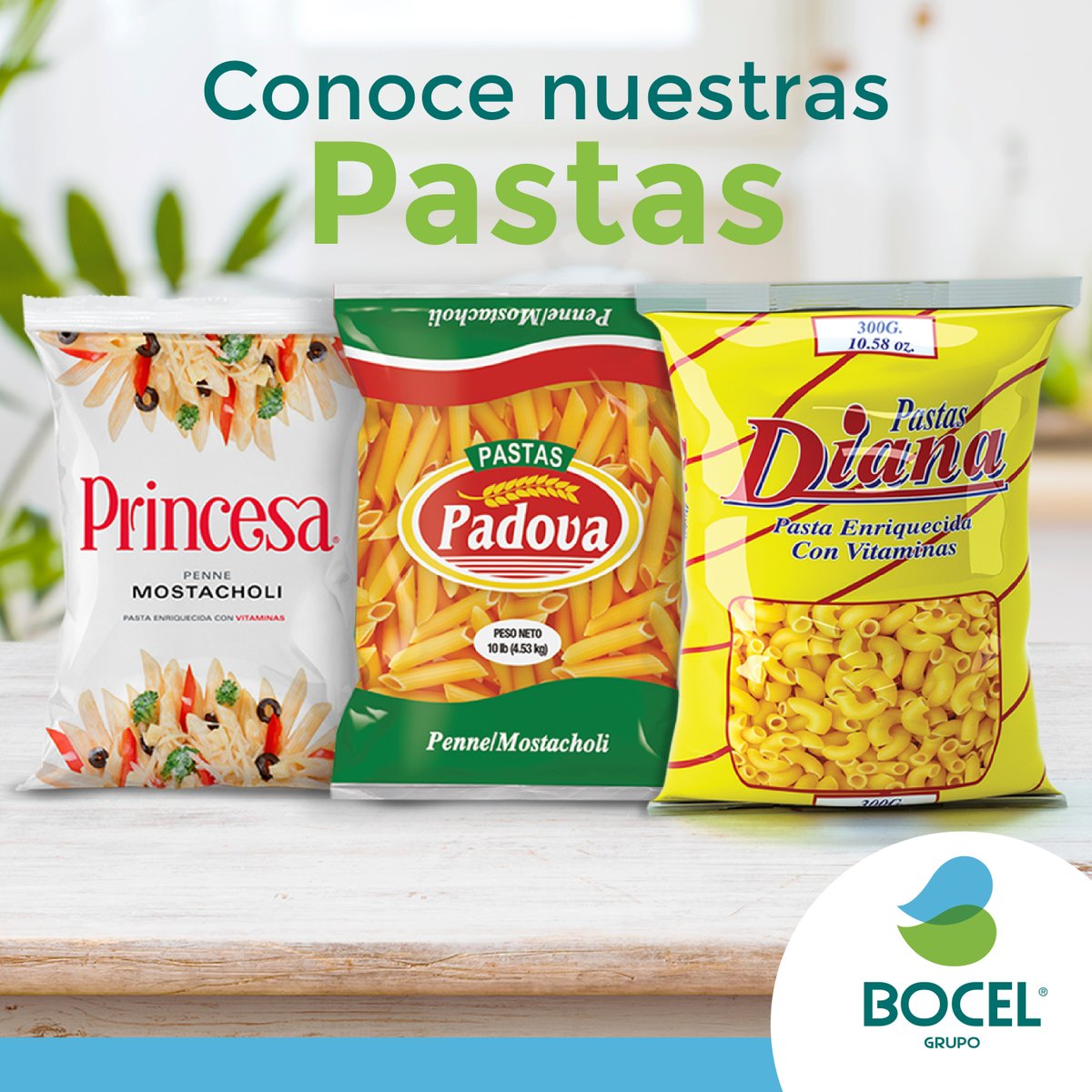 Grupo Bocel tweet media