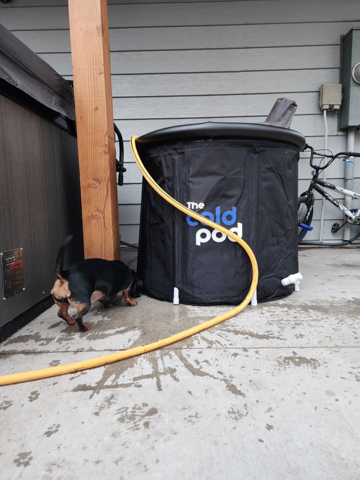 Got this cold plunge a week or 2 ago, and I see why people swear by them! Now, if Wyoming could stop<a href="/tag/maga"class="tags"><span>#maga</span></a><a href="/tag/saveamerica"class="tags"><span>#saveamerica</span></a><a href="/tag/trump24"class="tags"><span>#trump24</span></a>