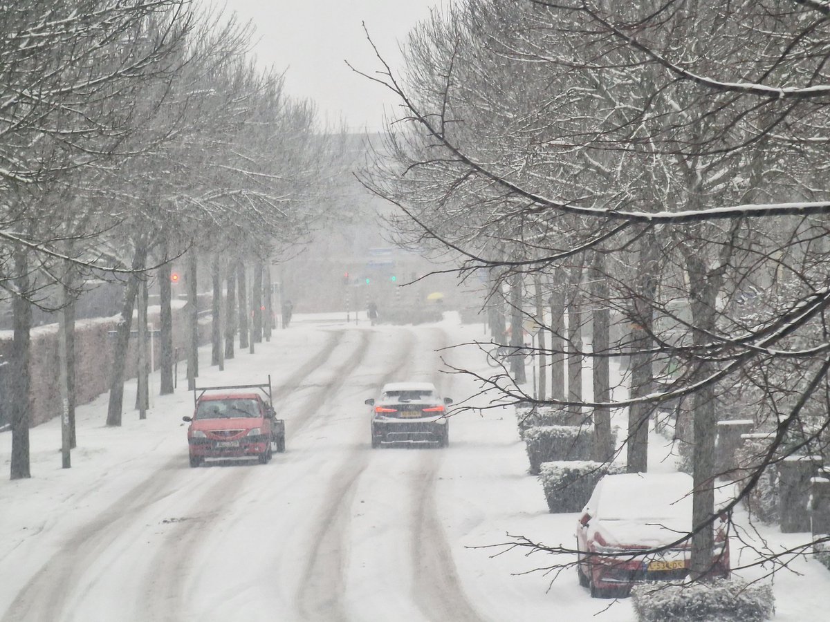 Philippe Schambergen tweet media