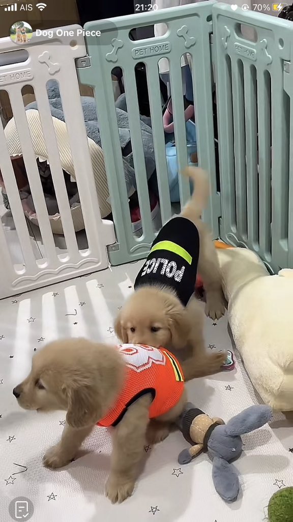 วินเถื่อนโดนตำรวจจับแล้วค่ะ