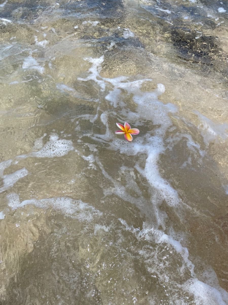 modernlilithh's tweet photo. i need summer 🌊 https://t.co/V0TT6mUqtO