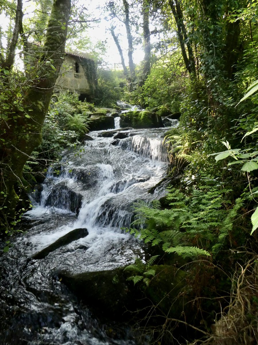 Day two of the #CaminoPortugués is a stunner and probably the most beautiful part of the entire Camino. The first part of the day goes through the Route of Stone and Water and with views like this what's not to love? alisononfoot.com/walking-the-sp…