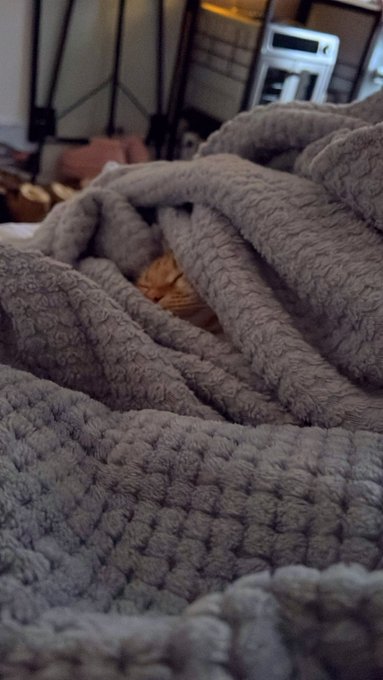 Alani Jupiter was a mood this snowy morning😂😴❄️🐈🤍✨ #cat #CATGIRL #CatsOfTwitter #snow #orangecat #orangecatbehavior<a href="/tag/snow"class="tags"><span>#snow</span></a><a href="/tag/cat"class="tags"><span>#cat</span></a><a href="/tag/catsoftwitter"class="tags"><span>#catsoftwitter</span></a><a href="/tag/catgirl"class="tags"><span>#catgirl</span></a><a href="/tag/orangecat"class="tags"><span>#orangecat</span></a>