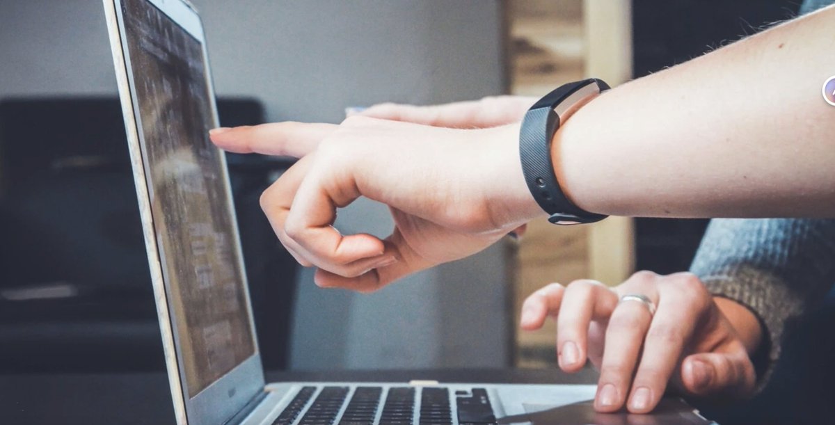 Syntropy tweet media