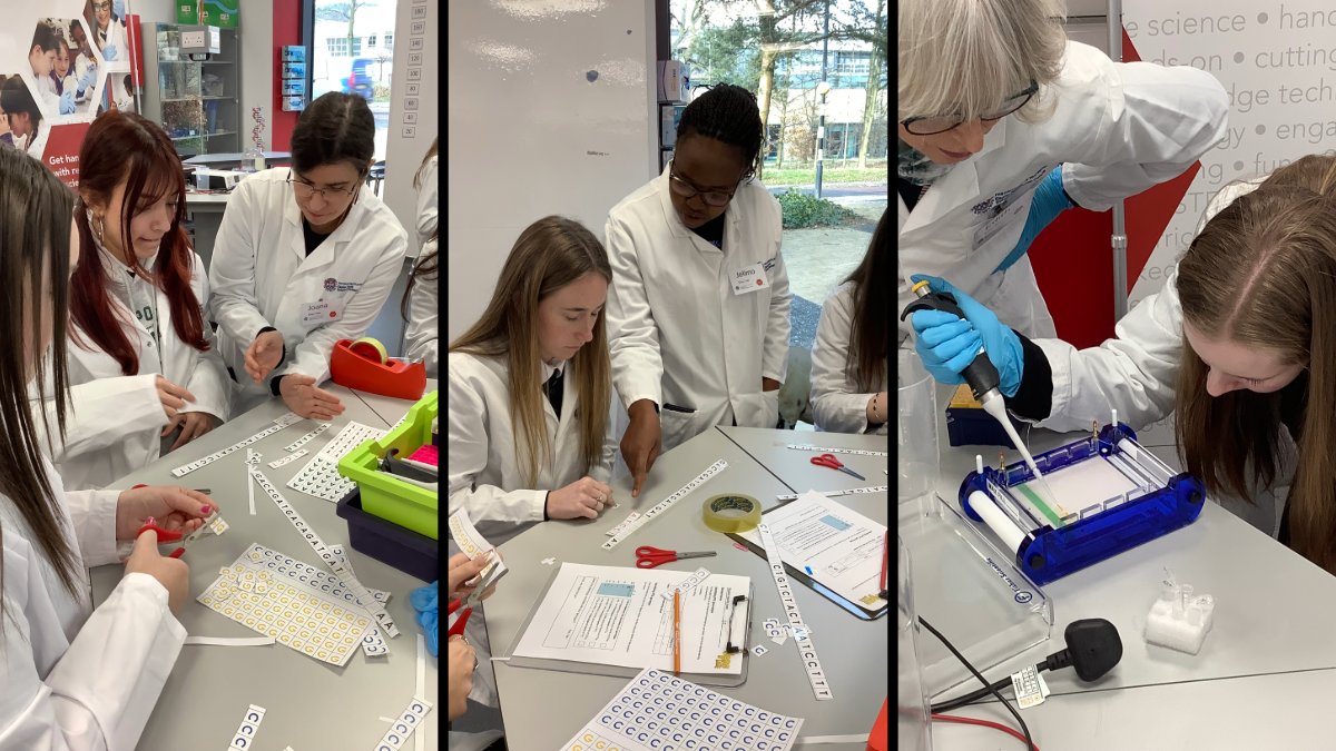 EBSOC Lab tweet media