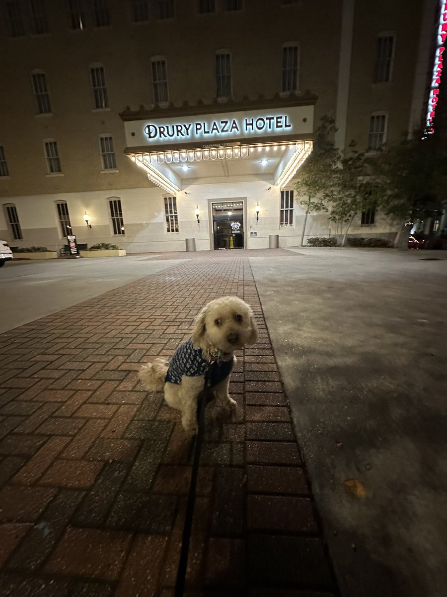 DunKin dood loved his first ever hotel stay at <a href="/DruryHotels/">Drury Hotels</a> in New Orleans!