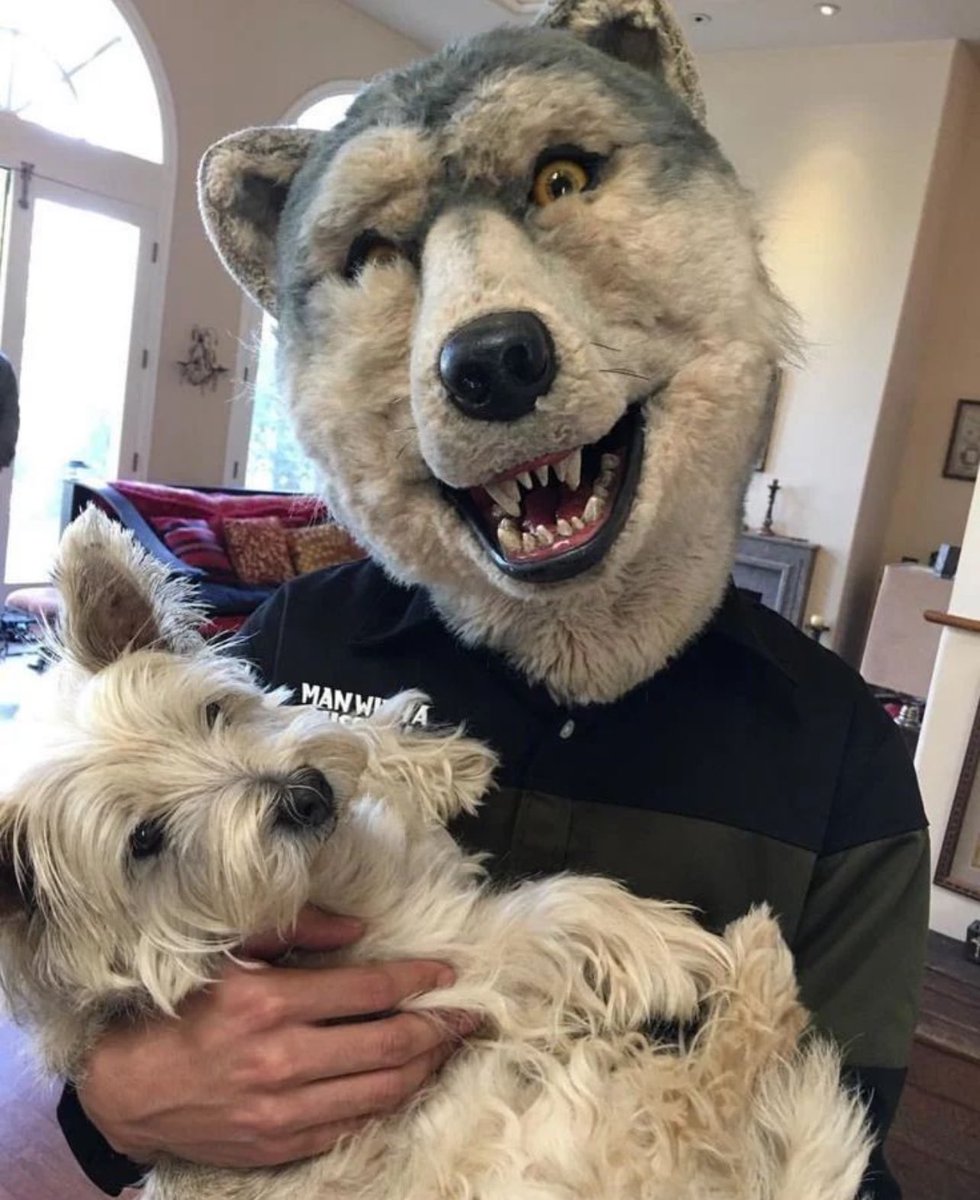 Happy #WolfWednesday! To celebrate, here’s a super cute picture of JKJ with super cute a dog 🥰🐺🖤🐶🥰