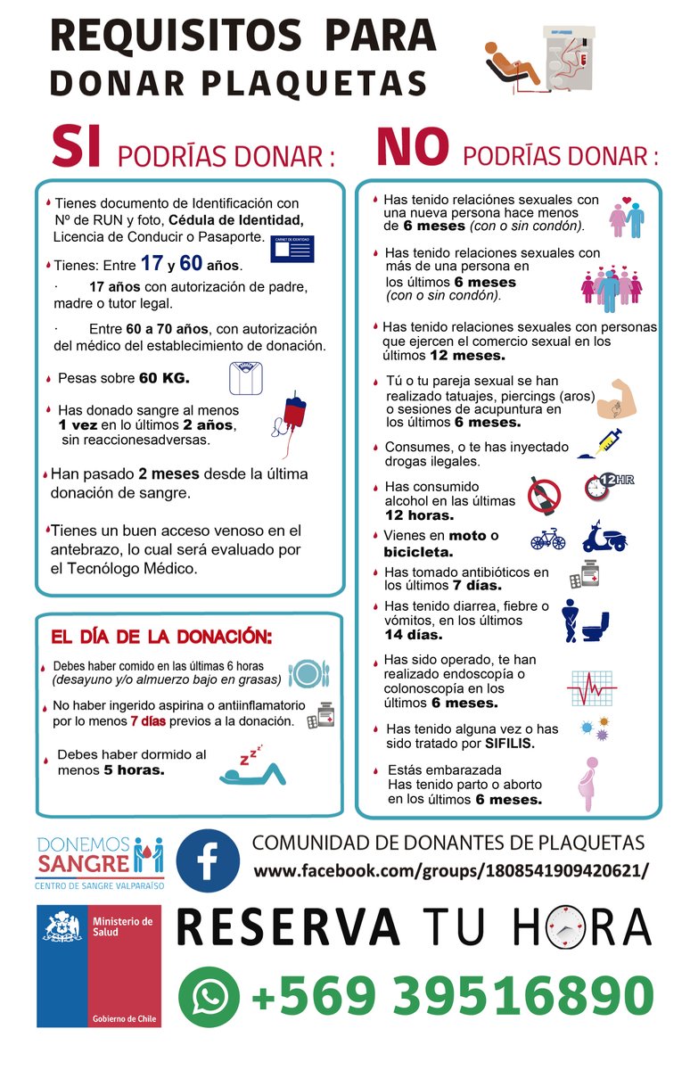 CentrodesangreV's tweet photo. Requisitos para donar plaquetas 🩸💛
+ información 🌐 
https://t.co/3aCCCYZjz5

 #Donasangre #Valparaíso #ViñadelMar #Quilpué #Quillota #LosAndes #Ligua #Petorca #SanAntonio https://t.co/kZql5f1dZJ