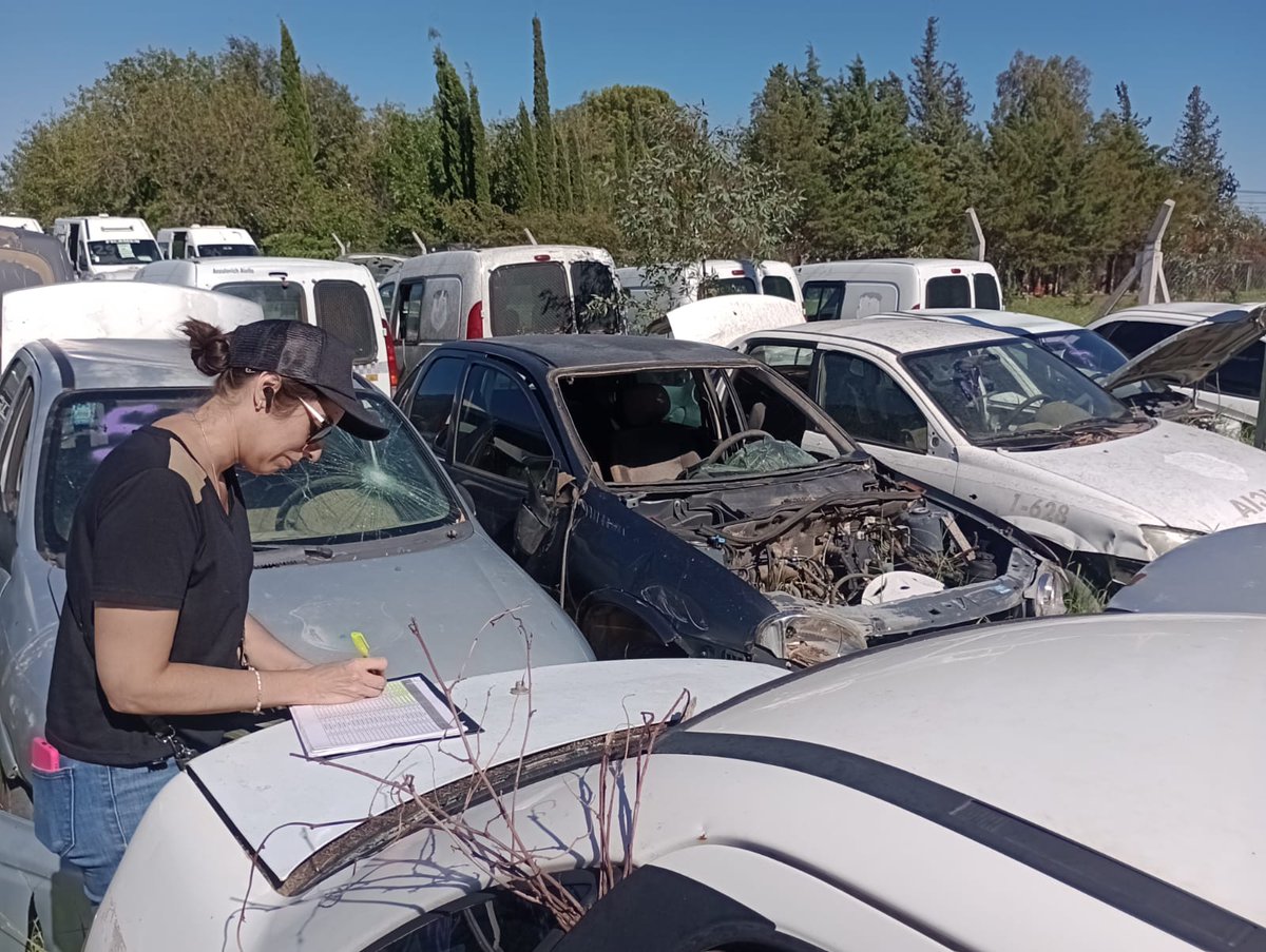 Avanza el Censo Automotor en todo San Luis
Distintas dependencias, coordinadas por las direcciones de Parque Automotor y de Estadística y Censos, se encuentran relevando la totalidad del registro patrimonial para conocer el estado en el que se encuentran los vehículos del Estado