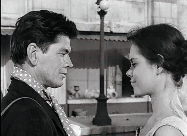 Death Cabbage tweet media