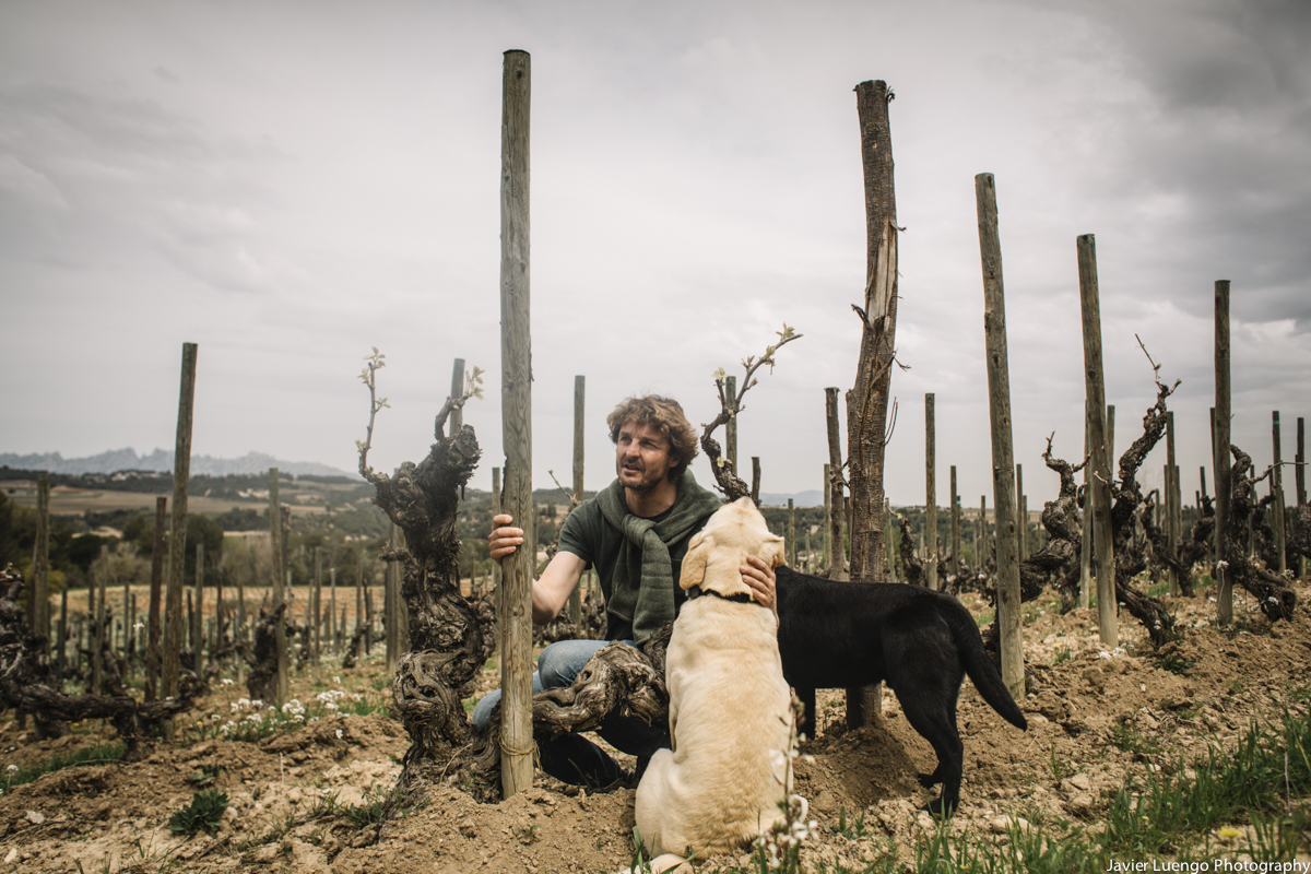 RaventosiBlanc's tweet image. [CONCA DEL RIU ANOIA ⛰️]  

&quot;I think we are in a very gifted place in the world to work organically, #biodynamics and with maximal respect to the #nature.&quot; -Pepe Raventós