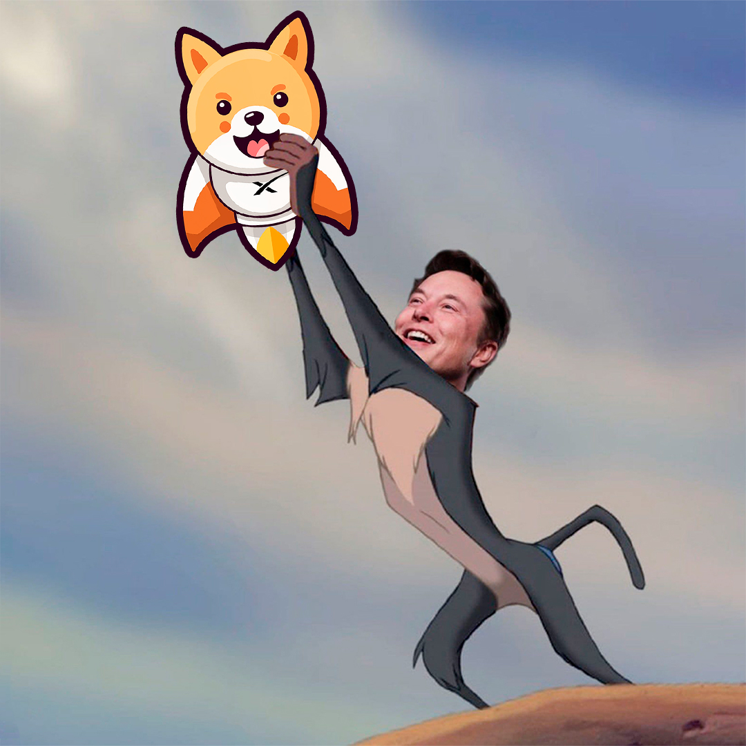 Rocket Inu tweet media