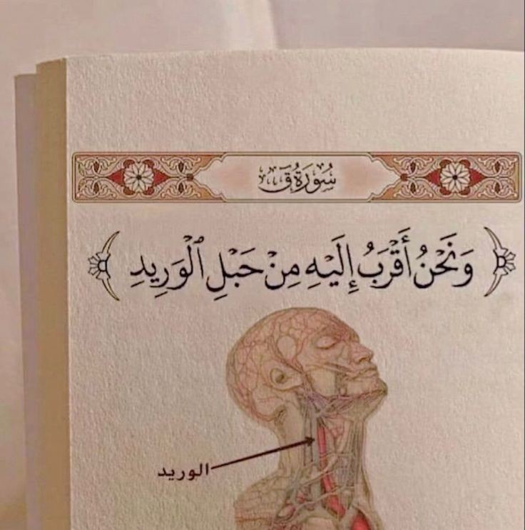 Ala Muhammed (@alamuh11) on Twitter photo 