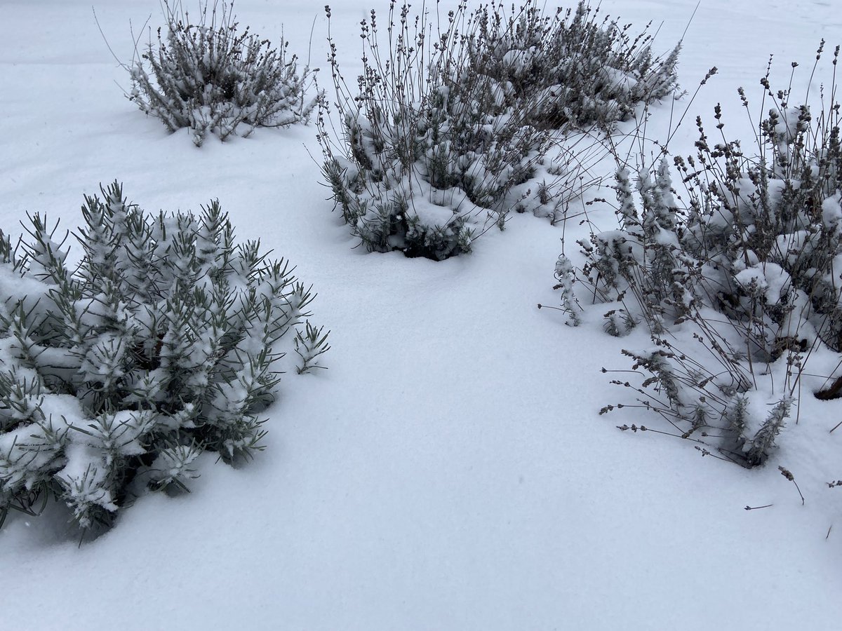 Veltem-Beisem
#vrtweer