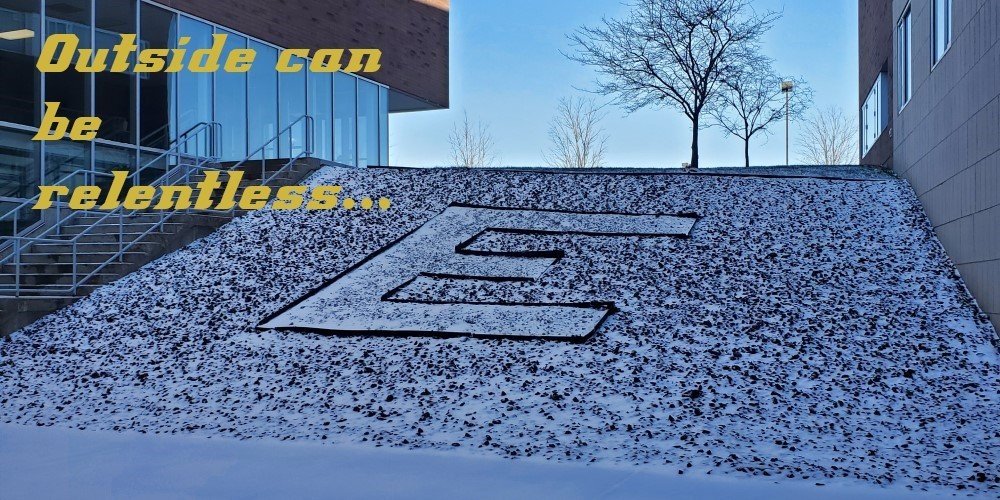 FZSD EastHigh tweet media