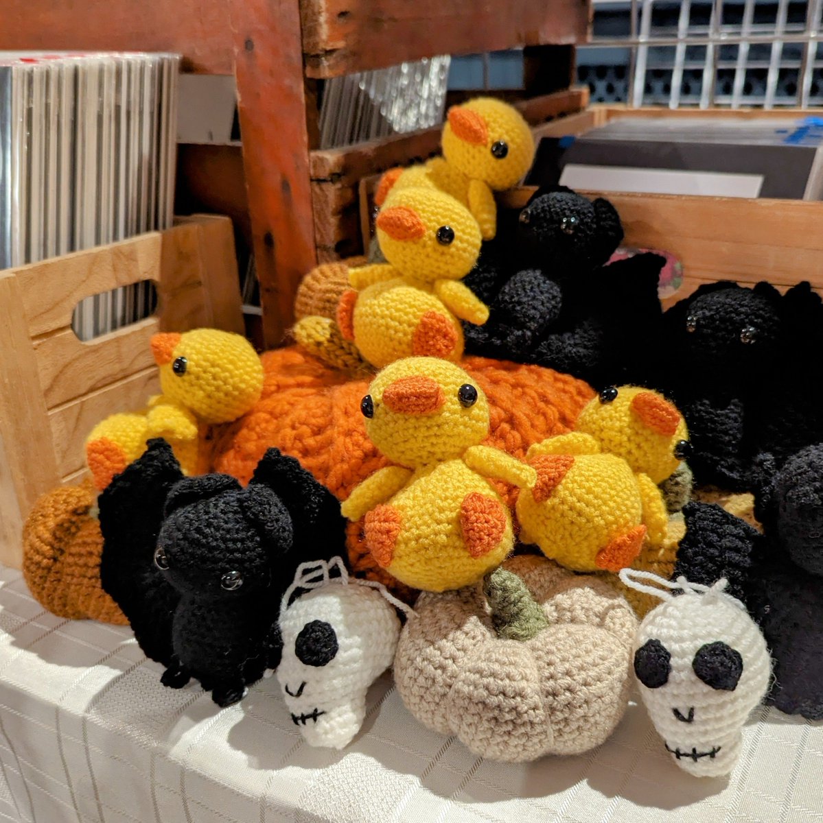 brambledowndes1's tweet image. The ducks have landed #ConTingency we are in you!