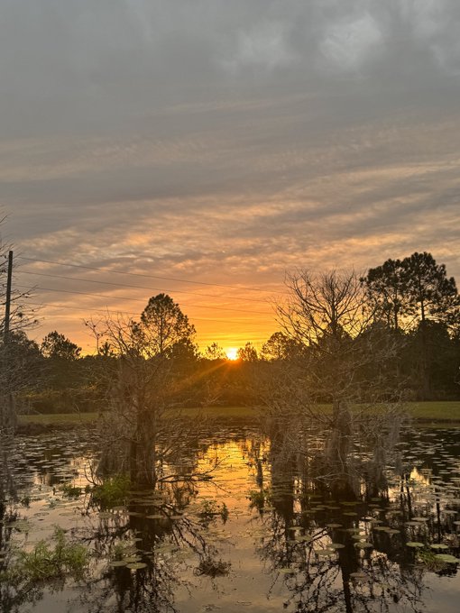 Im not sure which I prefer more, sunrise or sunsets. I try to catch at least one of them every day, no<a href="/tag/tgif"class="tags"><span>#tgif</span></a>