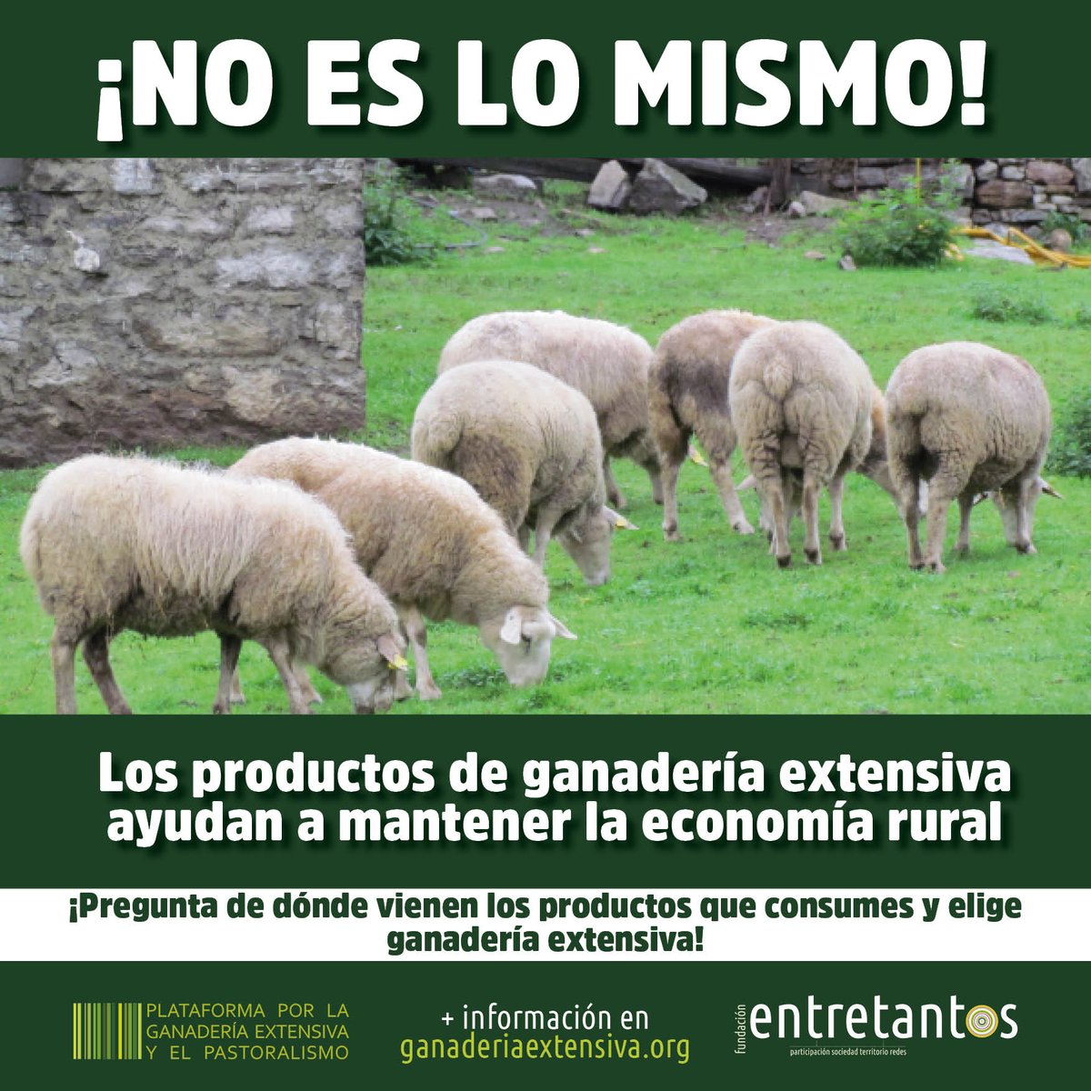 Los productos de la #ganaderíaextensiva se caracterizan por ser exclusivos, saludables y de gran calidad. Son una de las salidas económicas de gran parte del medio rural del Sur de Europa #noeslomismo #mundoruralvivo #pastoreoregenerativo #carnedepasto #economíaruraldecalidad