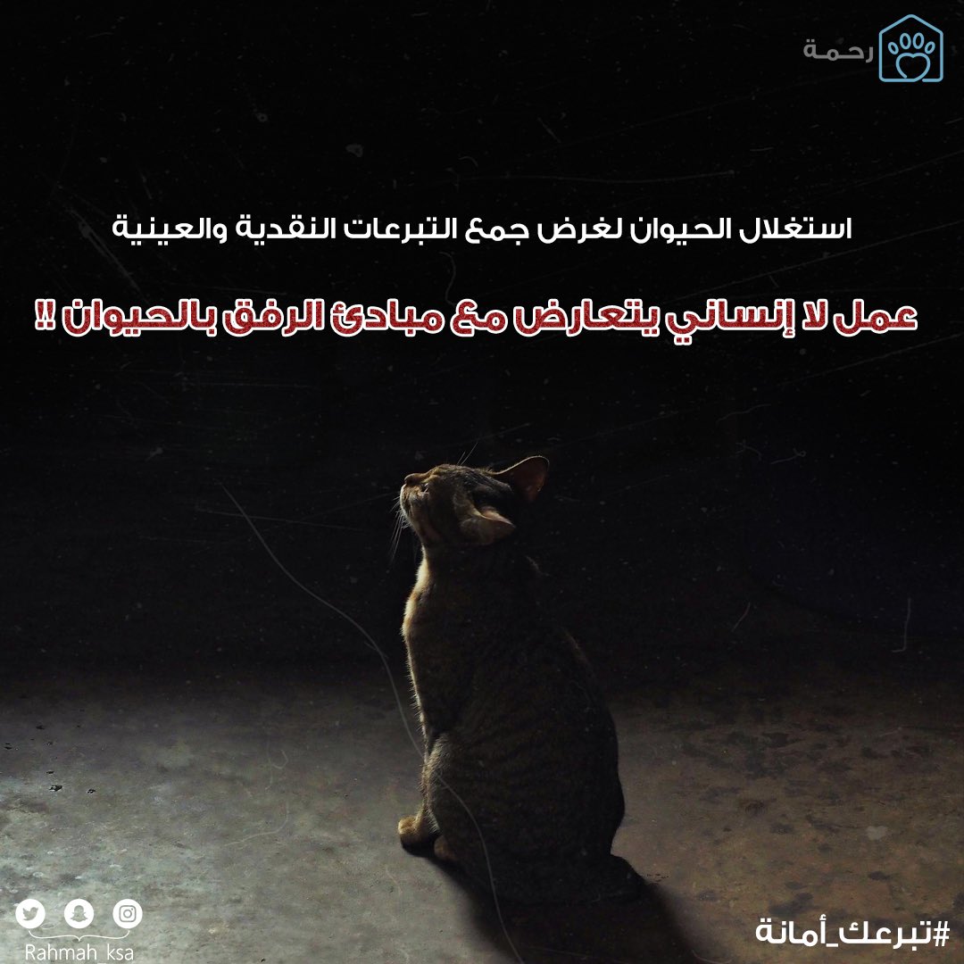جمعية رحمة للرفق بالحيوان tweet media