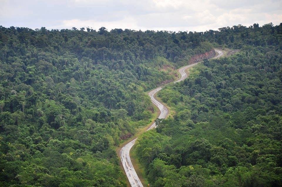 1) Misiones: política productiva en la tierra de la biodiversidad.
Breve 🧵sobre cómo las capacidades de Misiones brindan una oportunidad para encarar una transformación productiva basada en la #bioeconomía y qué políticas provinciales implementan para hacerlo 🌿🌱
